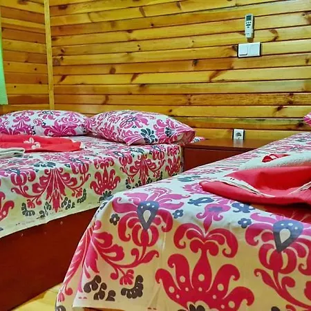 Tatilya Olympos