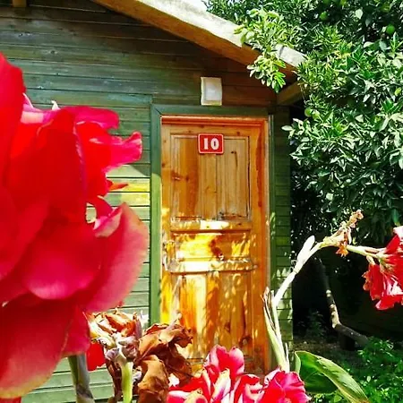 Guest house Tatilya *