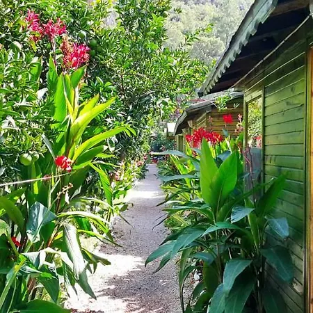 Guest house Tatilya