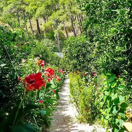 Tatilya Olympos