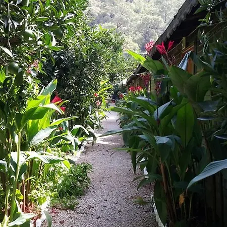 Guest house Tatilya